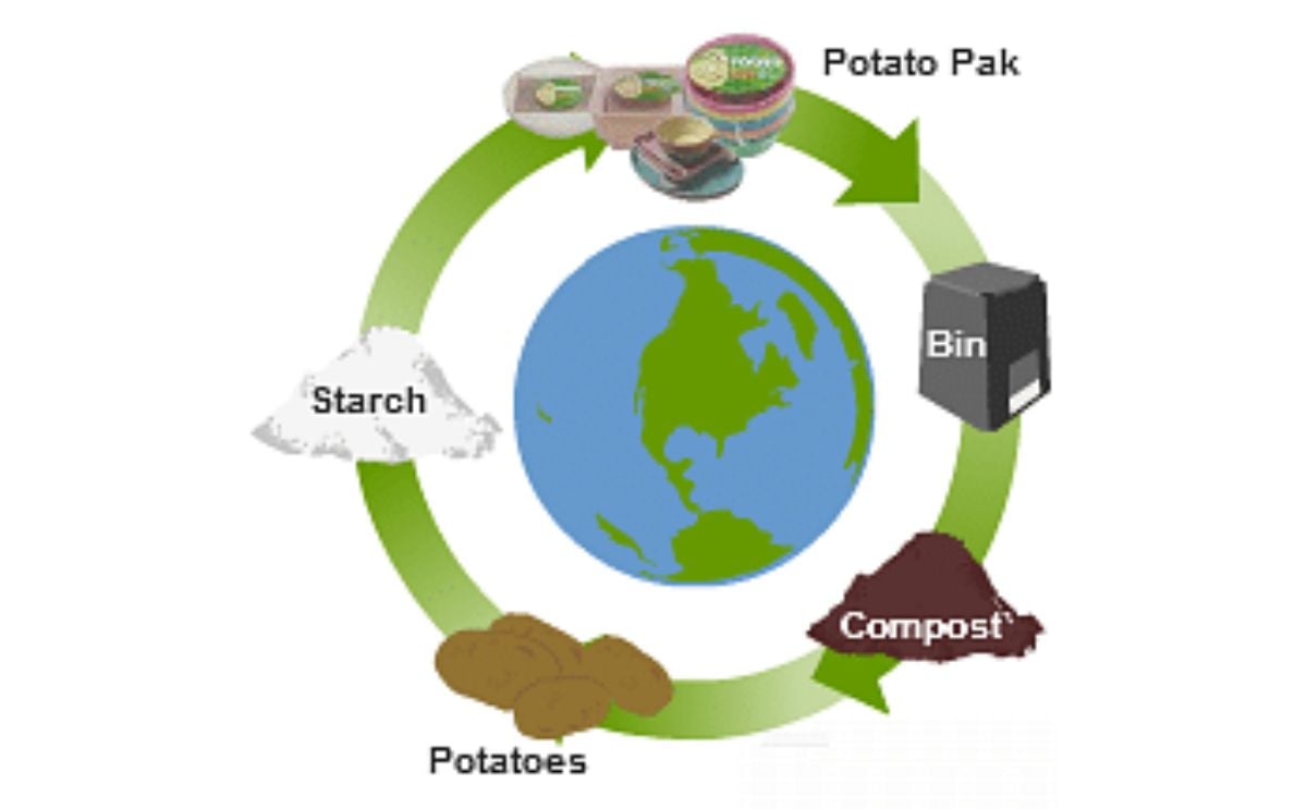 Potatopak product lifecycle Potatopak product lifecycle