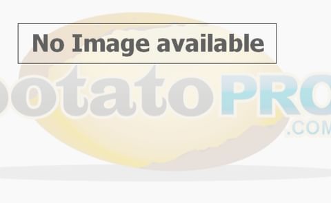 Chips of the New Block Chips of the New Block