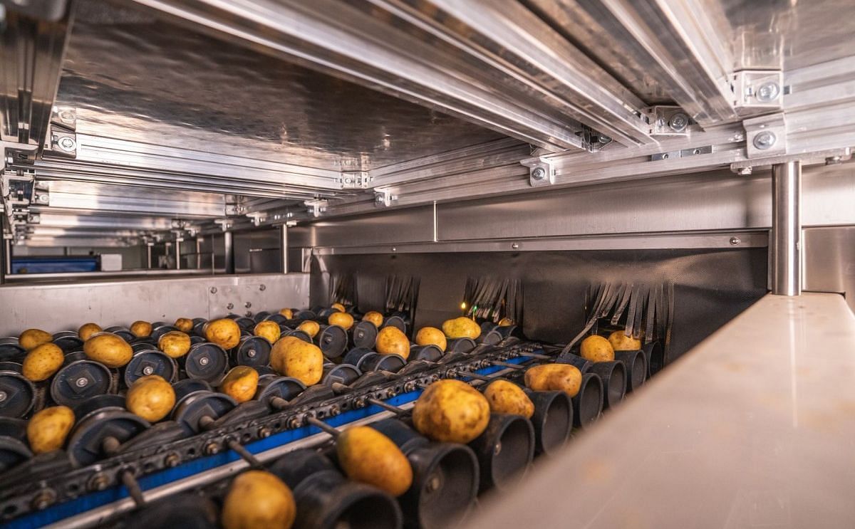 Efficient handling and grading of different shapes and sizes Efficient handling and grading of different shapes and sizes