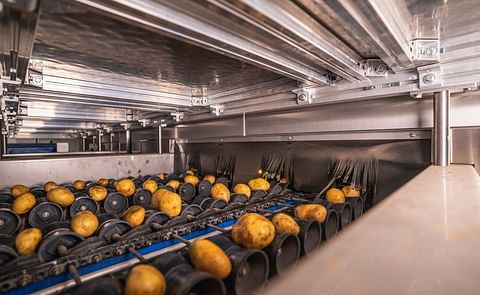 Efficient handling and grading of different shapes and sizes Efficient handling and grading of different shapes and sizes