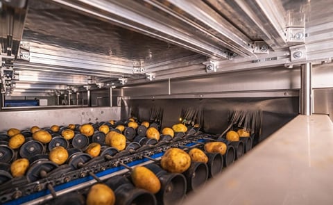 Efficient handling and grading of different shapes and sizes Efficient handling and grading of different shapes and sizes