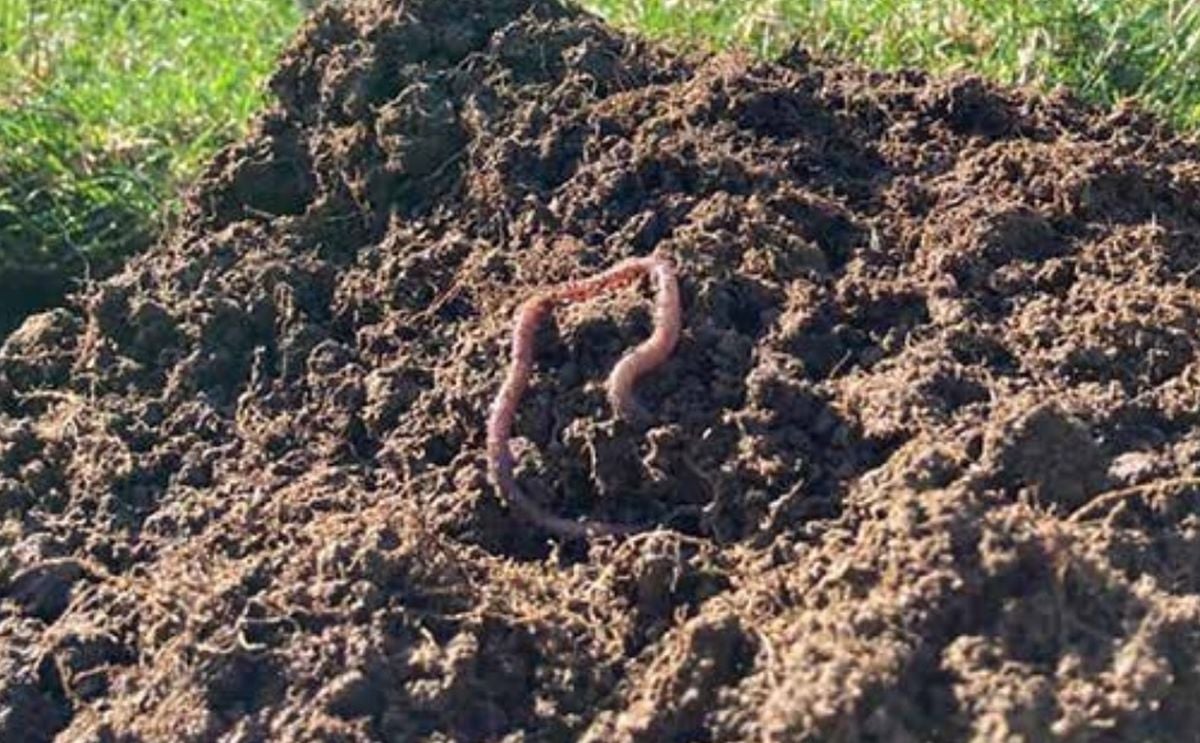 Practical guide to monitoring soil carbon launched. Practical guide to monitoring soil carbon launched.