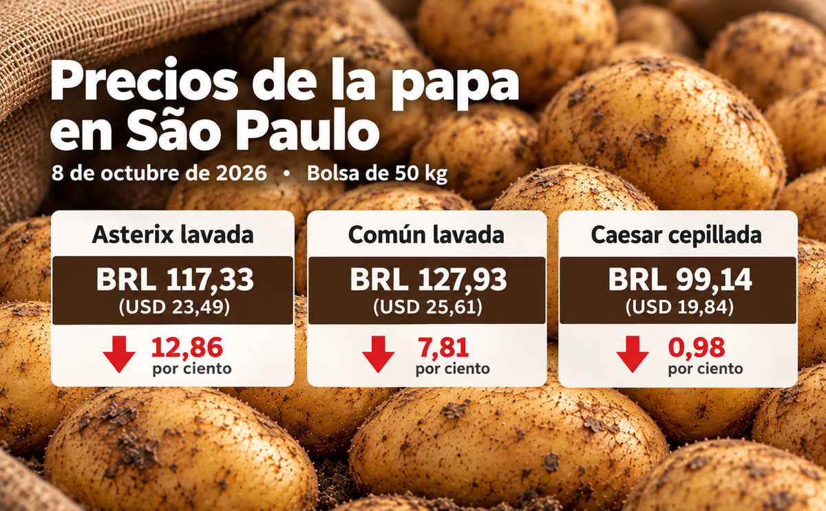 Los precios mayoristas de la papa en São Paulo registraron caídas de hasta el 12,86 por ciento el 8 de octubre de 2026, con descensos en las categorías Asterix lavada, común lavada y Caesar cepillada. (Imagen generada por IA por PotatoPro)