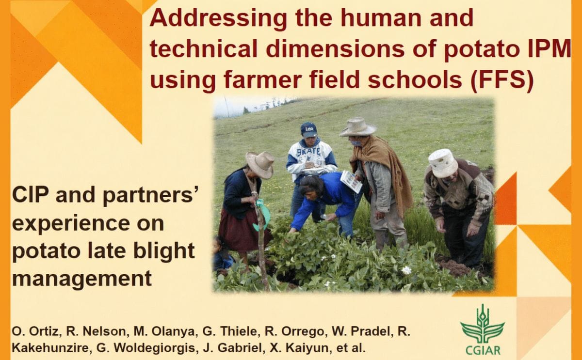 Presentación del trabajo galardonado (Imagen del primer "slide")