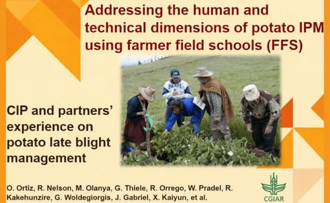 Presentación del trabajo galardonado (Imagen del primer "slide") Presentación del trabajo galardonado (Imagen del primer "slide")