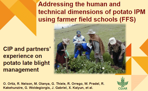 Presentación del trabajo galardonado (Imagen del primer "slide") Presentación del trabajo galardonado (Imagen del primer "slide")