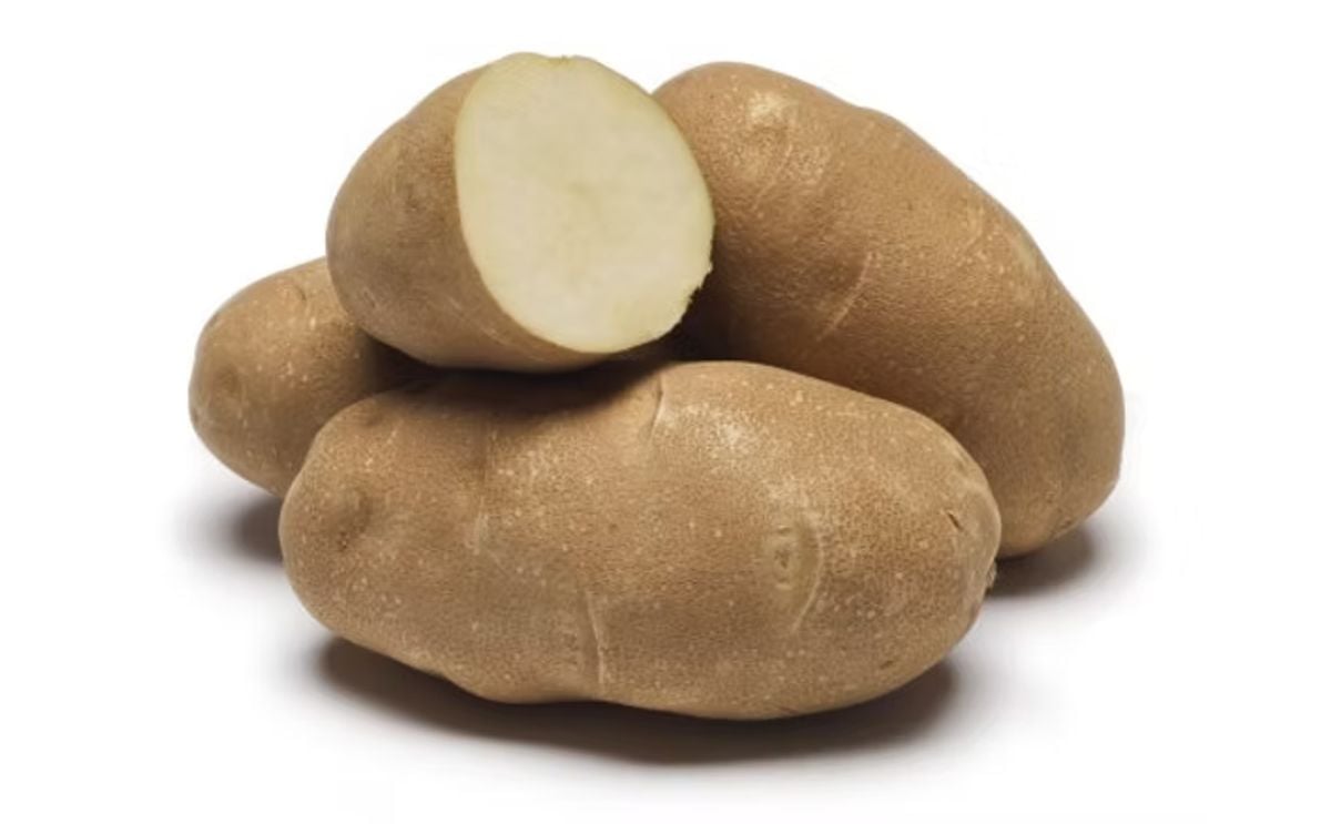 PREMIER RUSSET