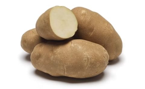 PREMIER RUSSET PREMIER RUSSET