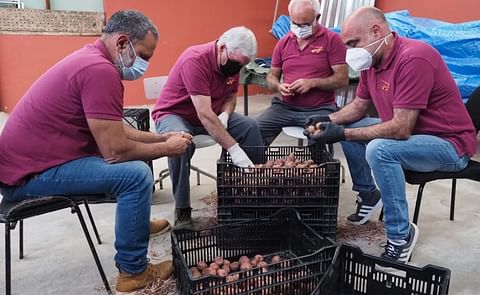 Agricultores de la Asociación de Cosecheros La Papa Bonita realizan tradicional preparación para la siembra de patata. Agricultores de la Asociación de Cosecheros La Papa Bonita realizan tradicional preparación para la siembra de patata.