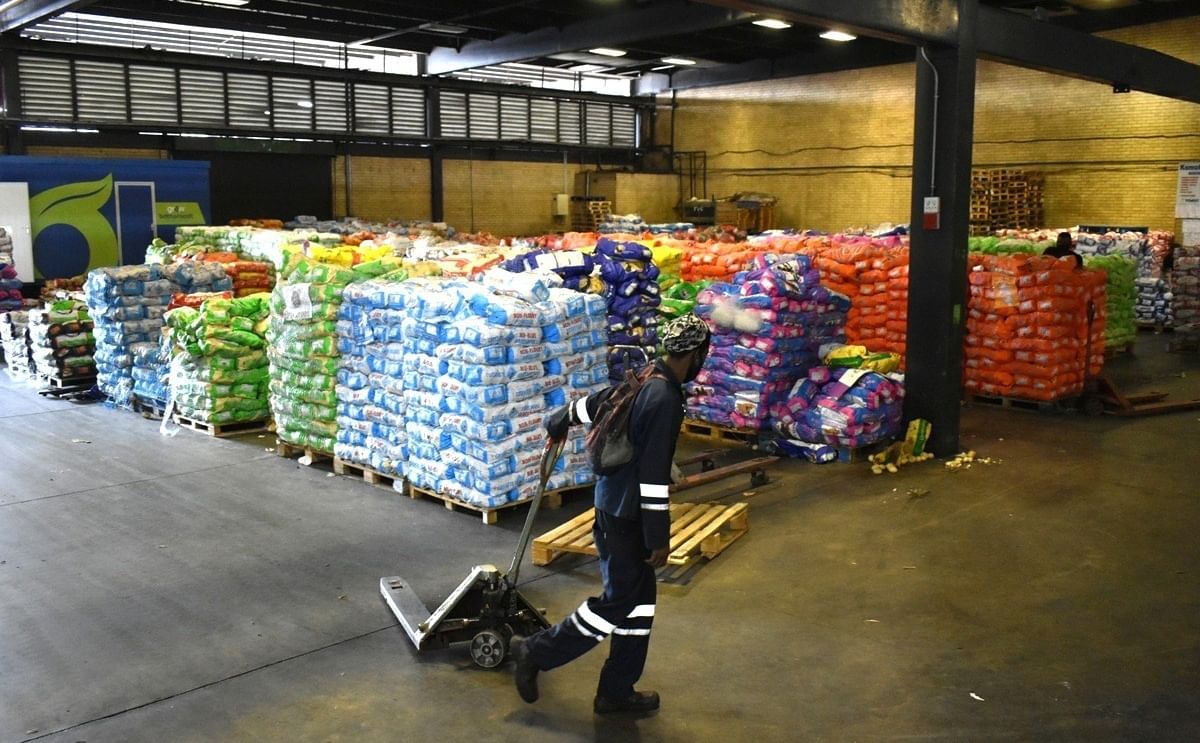 South Africa faces a potato price slump as bumper yields push August 2025 prices down by up to 50% compared to last year