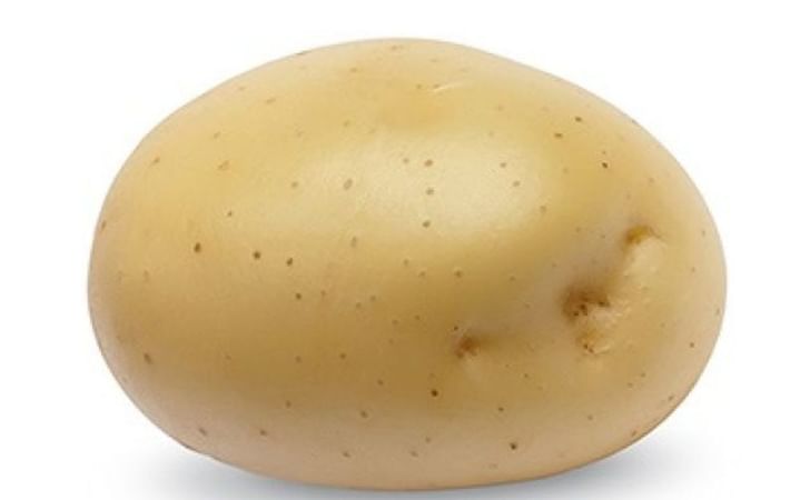 PRIMABELLE PRIMABELLE