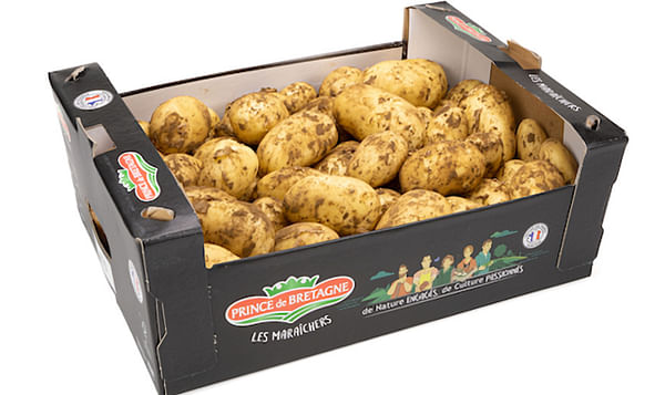France: the extra early Primaline potato has arrived!