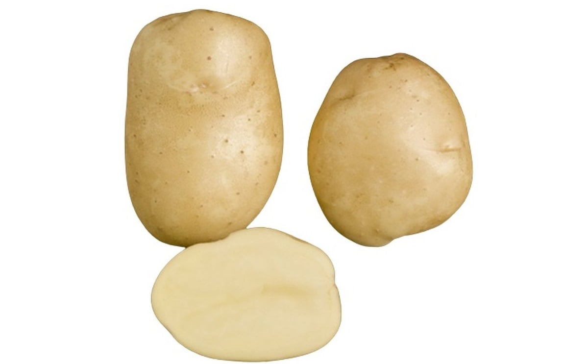 Primura