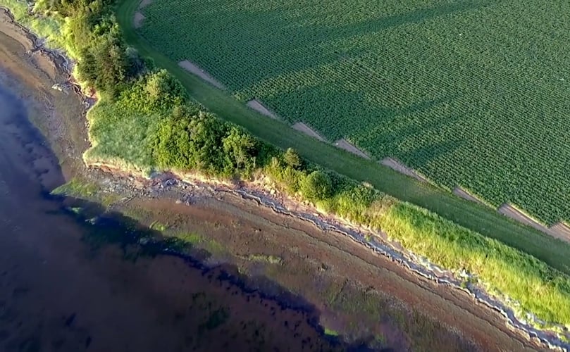 Cavendish Farms video on the relation of the company with the Island farmers and the special challenges PEI offers for potato cultivation
Cavendish Farms video on the relation of the company with the Island farmers and the special challenges PEI offers for potato cultivation