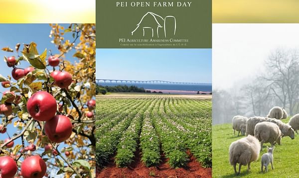 Visit a Prince Edward Island Potato Farm on PEI Open Farm Day this Sunday