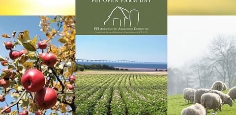 Visit a Prince Edward Island Potato Farm on PEI Open Farm Day this Sunday