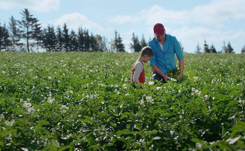 The new commercial of the Prince Edward Island Potato Growers(30-seconds version)
