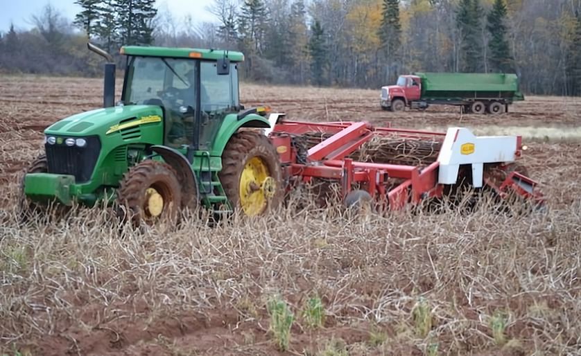 Potato harvesting equipment was making slow progress in heavy ground near Bloomfield Corner (Prince Edward Island, Canada) Friday morning. (Courtesy: Journal Pioneer)