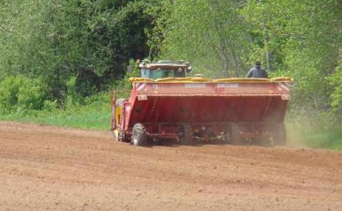 Good Progress Potato Planting Prince Edward Island Good Progress Potato Planting Prince Edward Island