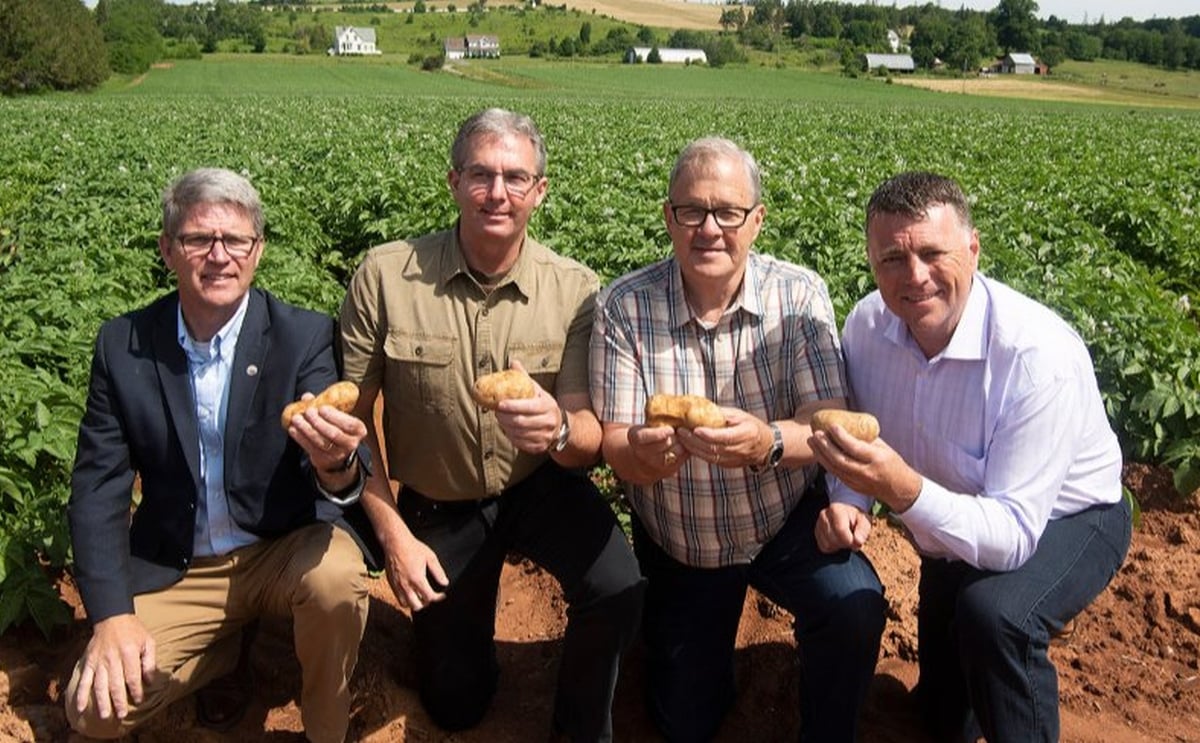 Prince Edward Island potato farmers receive financial support to overcome wet and cold harvest of 2018 Prince Edward Island potato farmers receive financial support to overcome wet and cold harvest of 2018