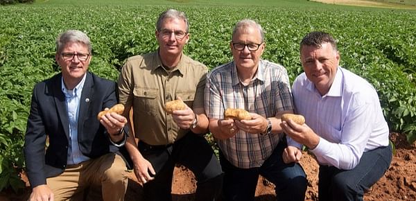 Prince Edward Island potato farmers receive financial support to overcome wet and cold harvest of 2018