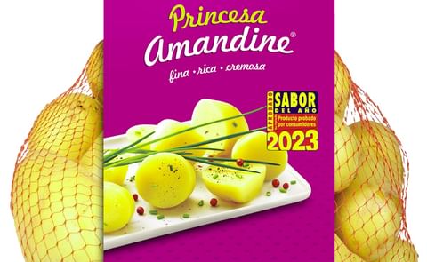 Princess Amandine 2023 Princess Amandine 2023