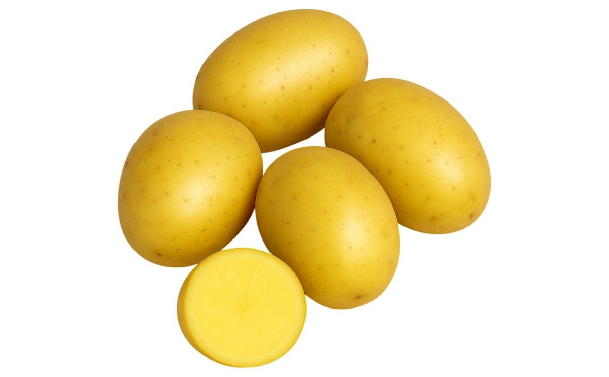 PRINCESS ALEXIA | PotatoPro