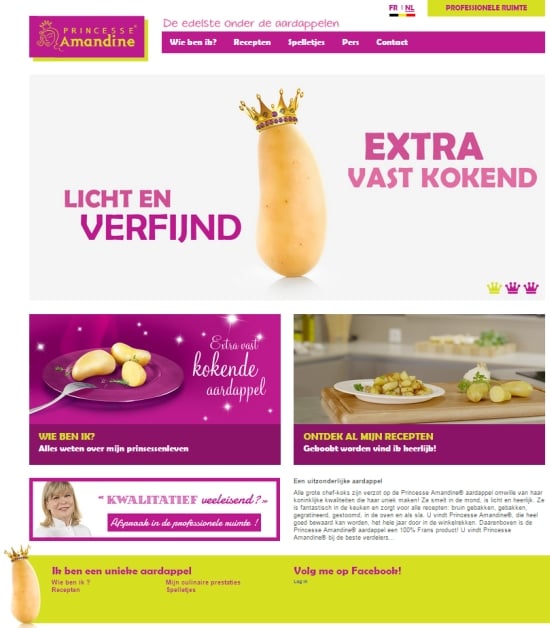Website Princesse Amadine Website Princesse Amadine