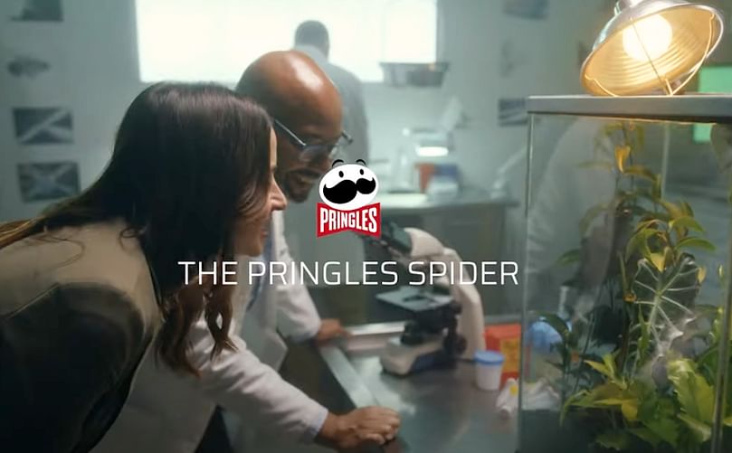La araña Pringles
