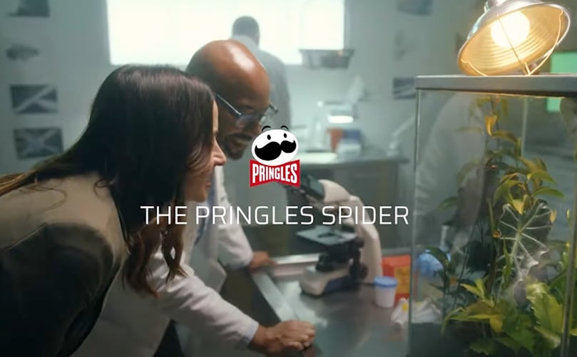 La araña Pringles La araña Pringles