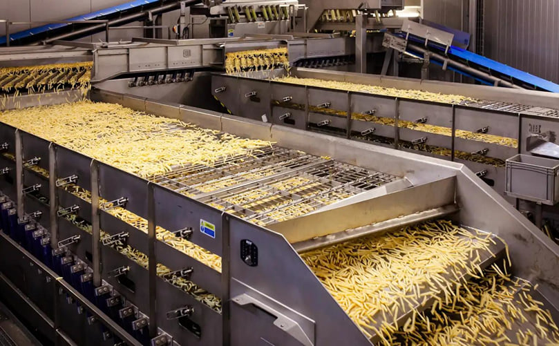 Applications and End Products of Frozen French Fry Processing Lines