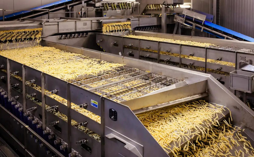 Applications and End Products of Frozen French Fry Processing Lines Applications and End Products of Frozen French Fry Processing Lines