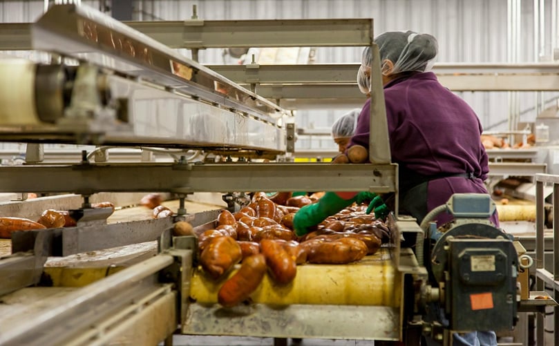 Inside a Modern Potato Processing Line: Precision in Every Step Inside a Modern Potato Processing Line: Precision in Every Step