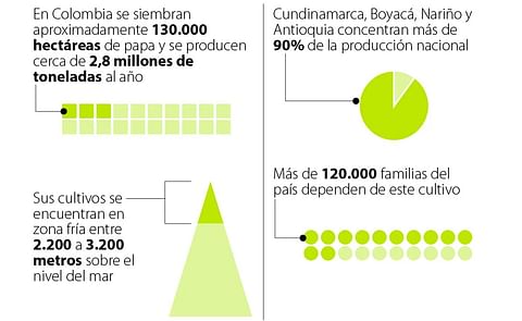 Produccion de Papa en Colombia Produccion de Papa en Colombia