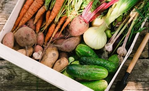 Created in April 2015, the International Food Waste Coalition (IFWC) is a not-for-profit association, constellation of food organizations joining forces to reduce food waste throughout the food services value chain in the world, starting with Europe. Created in April 2015, the International Food Waste Coalition (IFWC) is a not-for-profit association, constellation of food organizations joining forces to reduce food waste throughout the food services value chain in the world, starting with Europe.