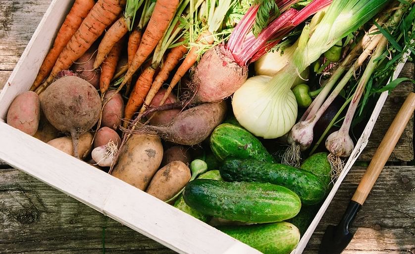 Created in April 2015, the International Food Waste Coalition (IFWC) is a not-for-profit association, constellation of food organizations joining forces to reduce food waste throughout the food services value chain in the world, starting with Europe.
