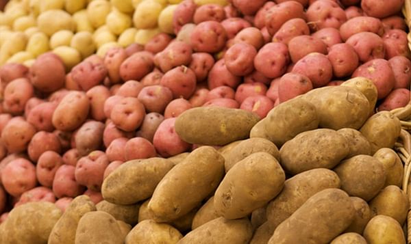 2019 a Banner Year for Potato Sales – 2020 Very Concerning