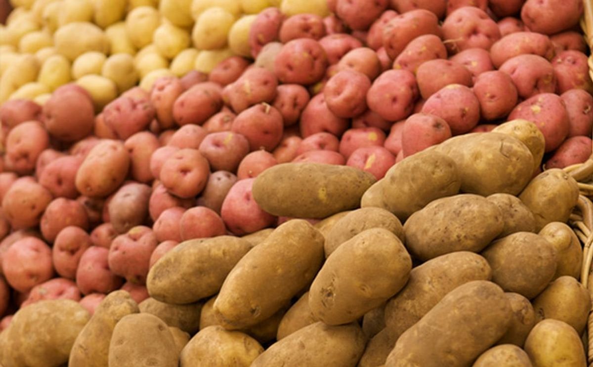 2019 a Banner Year for Potato Sales – 2020 Very Concerning 2019 a Banner Year for Potato Sales – 2020 Very Concerning