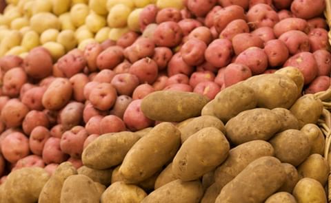 2019 a Banner Year for Potato Sales – 2020 Very Concerning 2019 a Banner Year for Potato Sales – 2020 Very Concerning