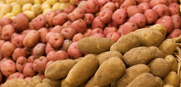 2019 a Banner Year for Potato Sales – 2020 Very Concerning