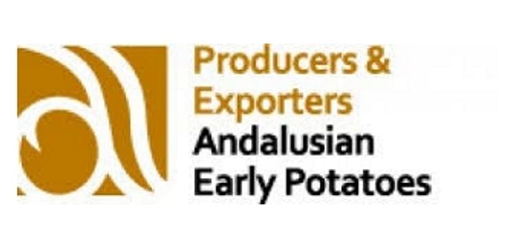 Producers and Exporters Andalusian Early Potatoes