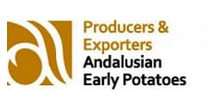 Producers and Exporters Andalusian Early Potatoes