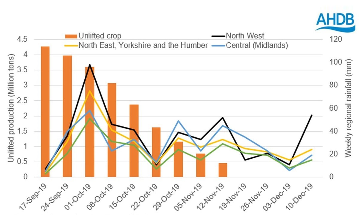 Analyst Insight: How tight does the GB potato market look? Analyst Insight: How tight does the GB potato market look?