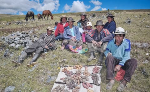 La papa y la seguridad alimentaria y nutricional en los Andes La papa y la seguridad alimentaria y nutricional en los Andes