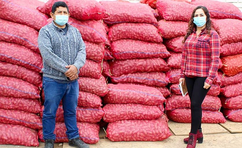 La Dirección Regional de Agricultura de Lima busca incrementar la producción del tubérculo
