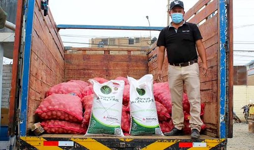 La Dirección Regional de Agricultura Lima distribuye 30 toneladas de semilla certificada, a fin de incrementar la producción y calidad de este importante cultivo en la zona altoandina, y lo hace cumpliendo las medidas de bioseguridad ante la pandemia del covid-19.
