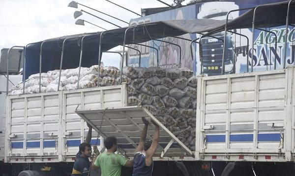 Productores e importadores de Paraguay se disputan el mercado frutihortícola
