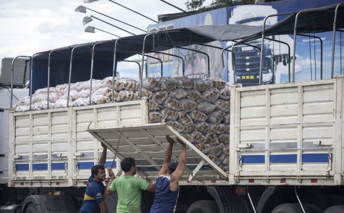 Productores e importadores de Paraguay se disputan el mercado frutihortícola
