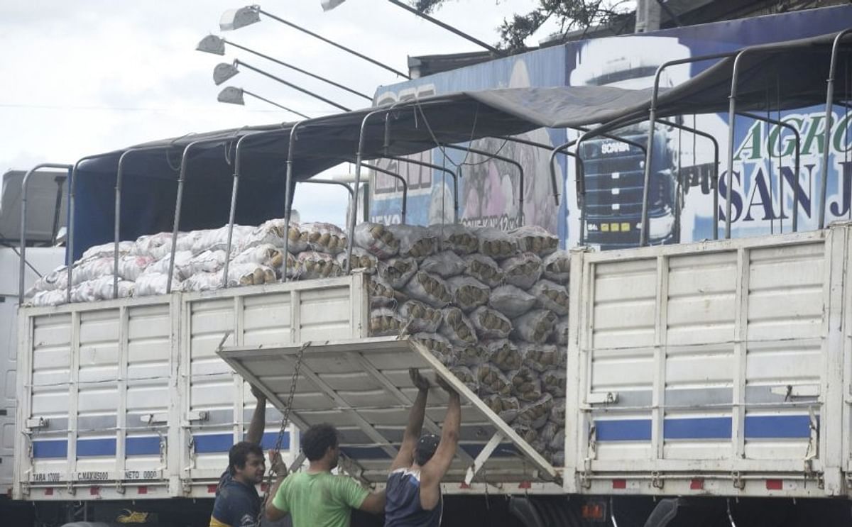 Productores e importadores de Paraguay se disputan el mercado frutihortícola Productores e importadores de Paraguay se disputan el mercado frutihortícola