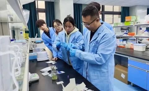 Professor Lyu Dianqiu leads the technical research team Professor Lyu Dianqiu leads the technical research team